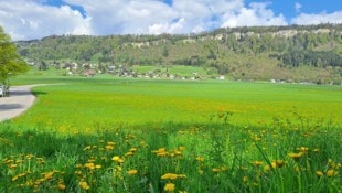 Die Errichtung einer Bodenaushubdeponie im idyllisch gelegenen Tisner Ried wurde ...