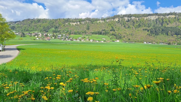 Die Errichtung einer Bodenaushubdeponie im idyllisch gelegenen Tisner Ried wurde ...