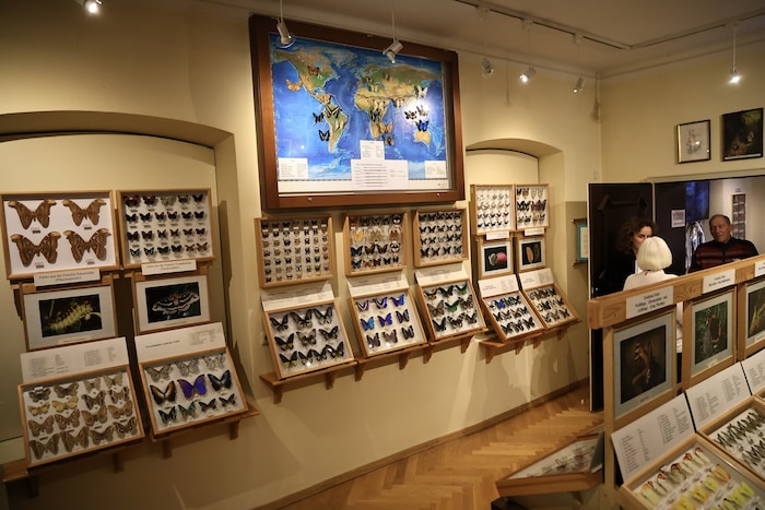 Viele Sammler und Forscher haben dem Museum ihre Schätze anvertraut. So wie diese eindrucksvolle ...