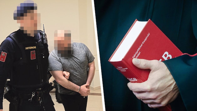 Der 52-jährige Syrer gab im Prozess im Wiener Landl letztendlich alles zu. „Ich bin pädophil“, ...