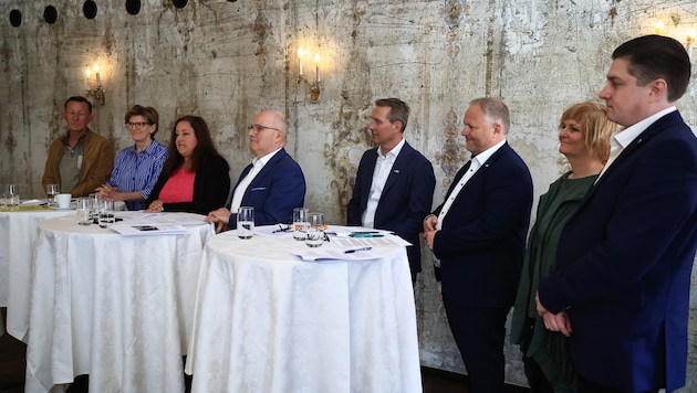 Der Gemeinderatsklub des „Neuen Innsbruck“ mit Mandataren und Ersatz-Gemeinderäten: „Wir nehmen ...