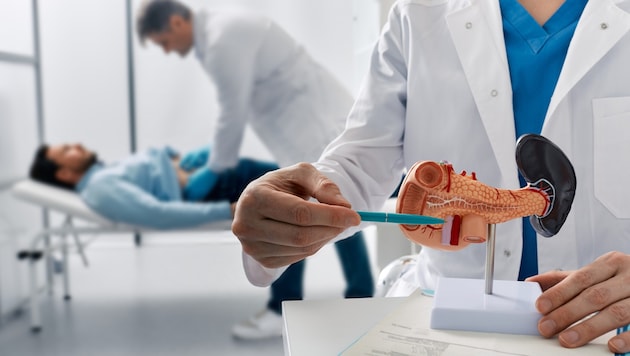 Die Bauchspeicheldrüse liegt im Oberbauch, hinter dem Magen. (Symbolbild)