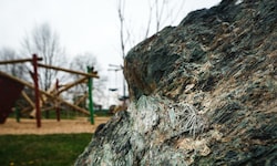 Greenpeace übt Kritik, weil das asbesthaltige Material bei Fundorten noch nicht entfernt worden ...