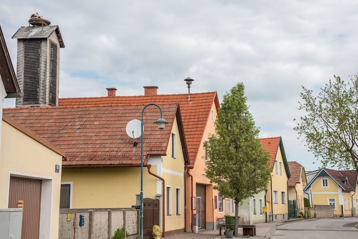 Jährlich zieht ein Storchenpaar in das Nest am Feuerwehrhaus in Peisching ein.