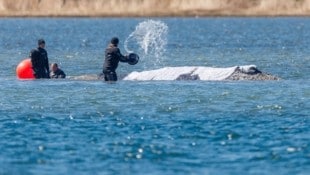 „Timmy“ liegt immer noch in der Nähe der Insel Poel.
