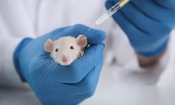 Besonders scharf kritisiert Tierschutz Austria den Einsatz von Tierversuchen in der ...