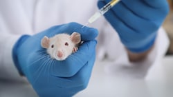 Besonders scharf kritisiert Tierschutz Austria den Einsatz von Tierversuchen in der ...
