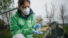 Greenpeace hat in drei Bundesländern Messungen durchgeführt.  