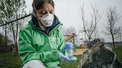 Experten entnahmen für Greenpeace Proben. In Niederösterreich wurden bereits fast alle Fundorte ...