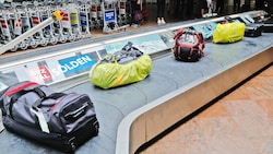 Im Gepäck der Reisenden stellten Zöllner am Flughafen Wien auch Illegales und Kurioses sicher.