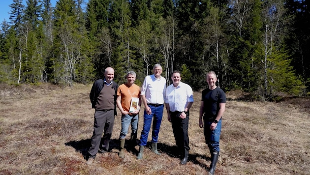 Sieberer (Stadtmuseum Kitzbühel), Sonntag, Winkler, Zumtobel und Lassacher (von links) am ...