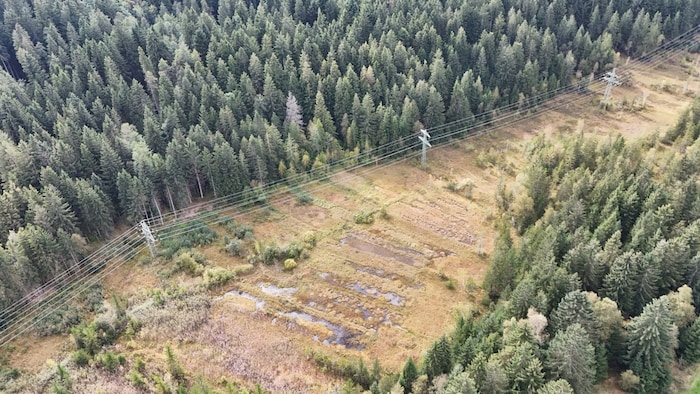 Das Projektgebiet aus der Vogelperspektive.