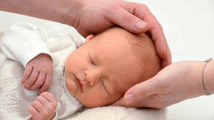 Maximilian from St. Peter ob Judenburg