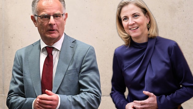 NEOS-Chefin Beate Meinl-Reisinger macht dem Finanzminister ein Geschenk – oder? (Fotomontage)