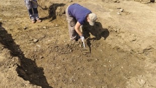 Im Gegensatz zu genehmigten Ausgrabungen (Foto) haben die Raubgräber illegal nach Wertvollem ...
