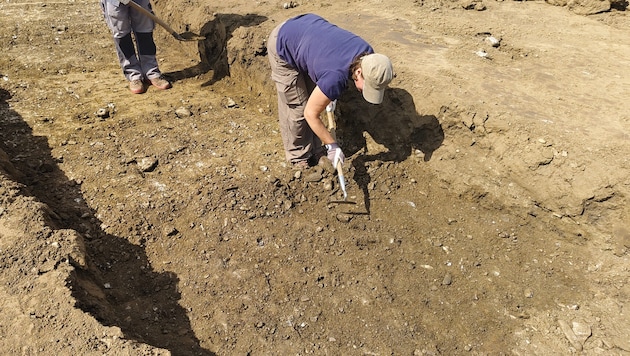 Im Gegensatz zu genehmigten Ausgrabungen (Foto) haben die Raubgräber illegal nach Wertvollem ...