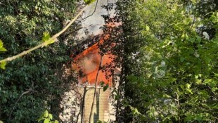 Die Flammen waren nah an einem Wald.