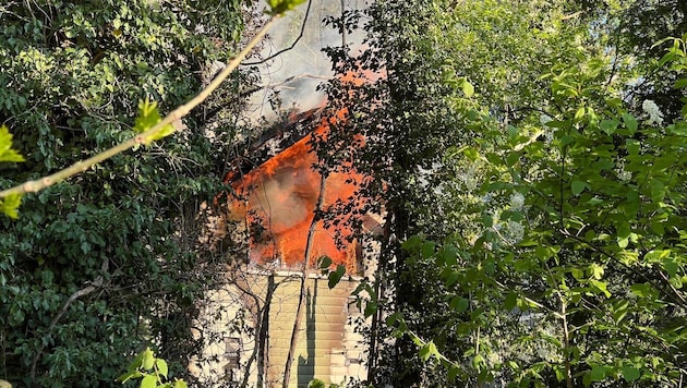 Die Flammen waren nah an einem Wald.