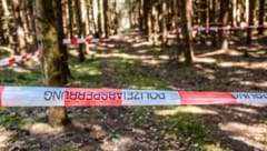 Hier wurde das Kriegsrelikt entdeckt.