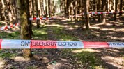 In einem Waldstück stieß der 68-Jährige auf die Waffe.