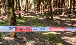 Hier wurde das Kriegsrelikt entdeckt.