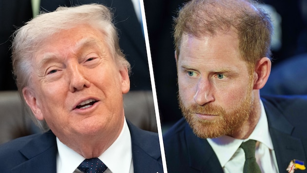 Trump lässt Harrys Ukraine-Appell nicht stehen – und schießt zurück.