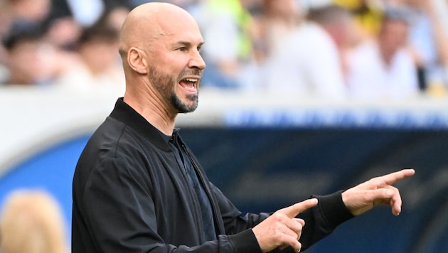 Hoffenheim-Coach Christian Ilzer