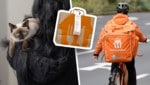 Kundin Eva S. wurde von syrischem Lieferanten (31) sexuell belästigt.