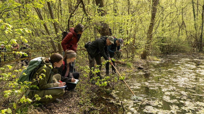 Werner Holzinger geht gemeinsam mit seinen Studierenden auf Spurensuche.
