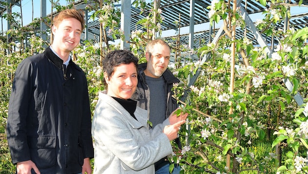 Blühende Bäume unter PV-Anlagen: das Projekt funktioniert in Pöchlarn perfekt.