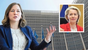 Bauer kritisierte die EU um Kommissionspräsidentin Ursula von der Leyen für die Pläne, den ...