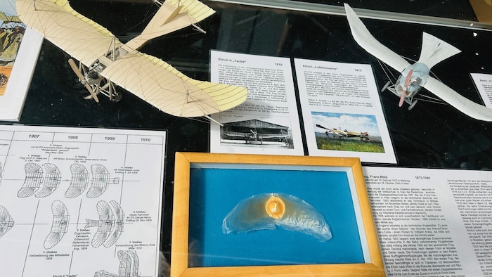 Die berühmte Etrich-Taube wurde nach dem Vorbild eines asiatischen Kürbissamens konstruiert.