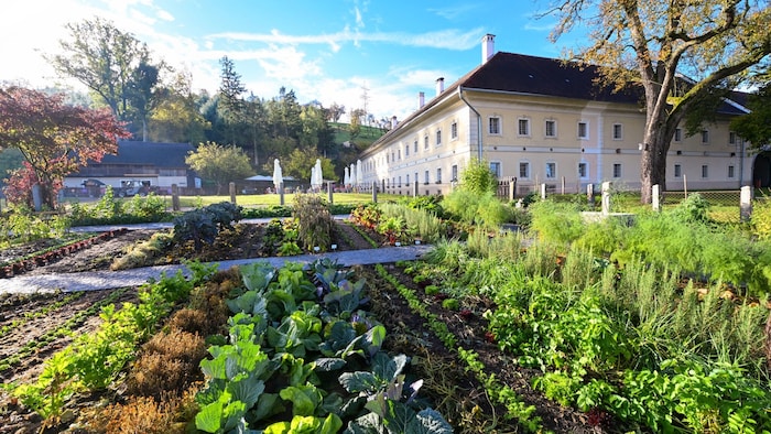 Bauerngarten am Sumerauerhof: Der Vierkanter wird heute als modernes Erlebnismuseum genützt.