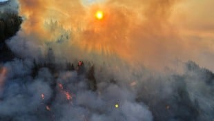 Diese Luftaufnahme aus einem Polizeihubschrauber verdeutlicht das Ausmaß des Waldbrandes.