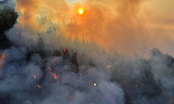 Diese Luftaufnahme aus einem Polizeihubschrauber verdeutlicht das Ausmaß des Waldbrandes.
