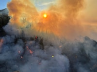 Diese Luftaufnahme aus einem Polizeihubschrauber verdeutlicht das Ausmaß des Waldbrandes.