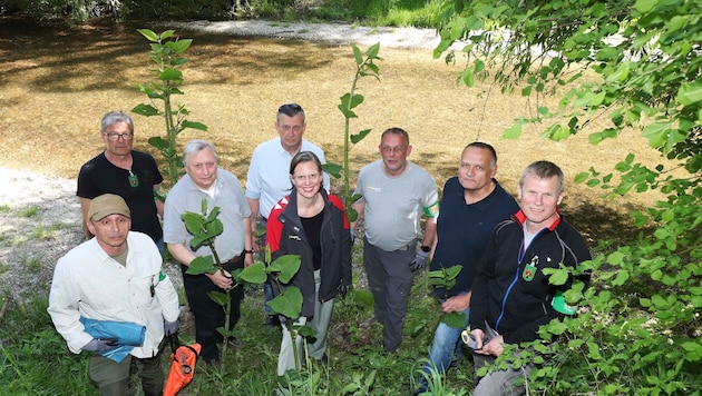 Gemeinsam wurde ordentlich angepackt. Auch Landeshauptmann-Stellvertreterin Anja Haider-Wallner ...