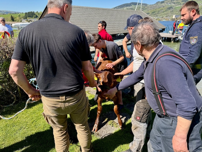 Am Ende ging alles gut.