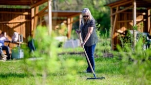Die Parzelle ist für Pensionistin Brigitte (66) ihr Ein und Alles.