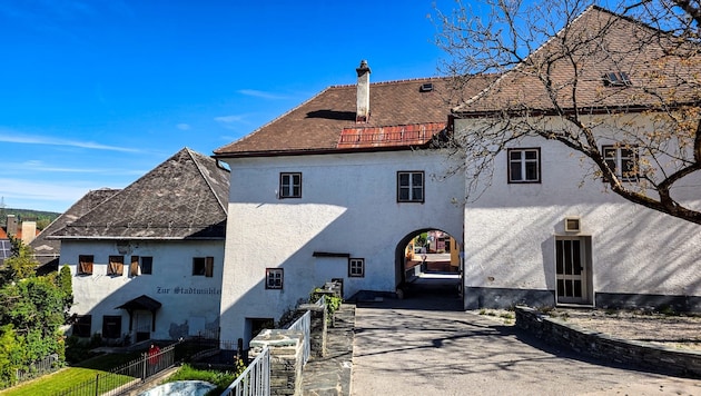 Dem Miklitschhaus und der „Stadtmühle“ soll neues Leben eingehaucht werden.