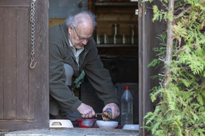 Herr K. gewährt den Samtpfoten auf seinem Grundstück nicht nur Futter, sondern im Winter auch ...