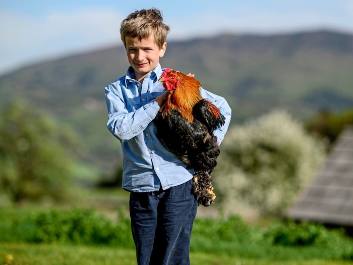 Sohn Salvi hütet mit seinen Geschwistern am Gutshof den schönsten Hahn weit und breit.