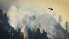 Sieben Einsatzhubschrauber der Polizei und des Bundesheers standen Samstag im Dauereinsatz. 