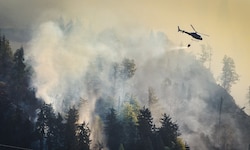 Sieben Einsatzhubschrauber der Polizei und des Bundesheers standen Samstag im Dauereinsatz. 