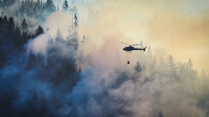 Immer wieder flammen Glutnester auf.