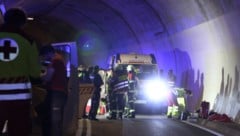 Die Bemühungen der Rettungskräfte waren leider vergebens.