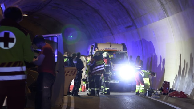 Die Bemühungen der Rettungskräfte waren leider vergebens.