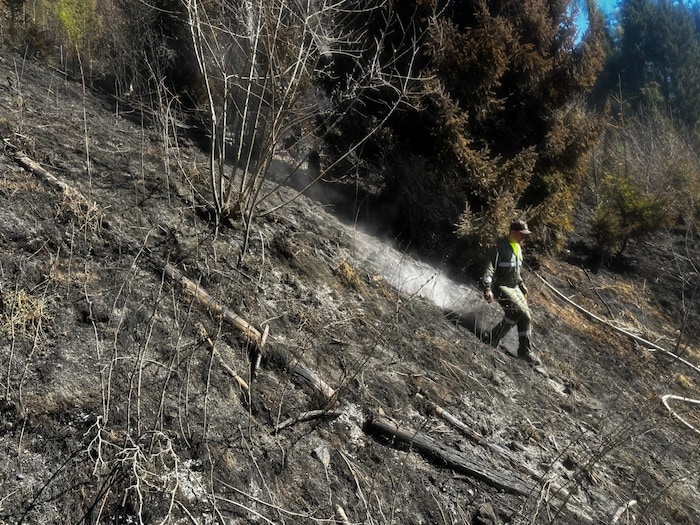 In so steilem Gelände kämpfen die Feuerwehrleute gegen den Brand.