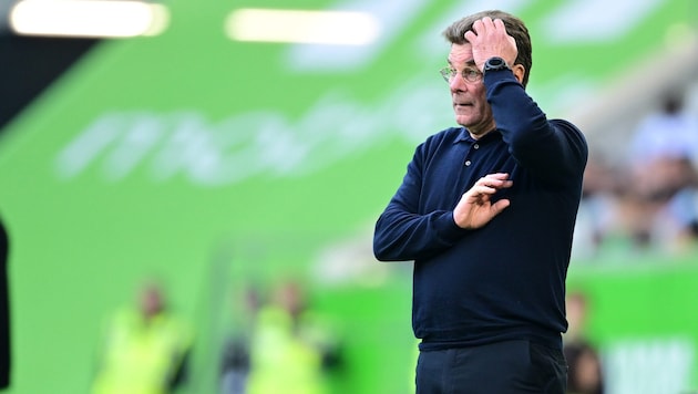 Wolfsburg-Trainer Dieter Hecking