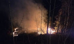 Neben der Seefelder Bundesstraße brach ein Böschungsbrand aus.